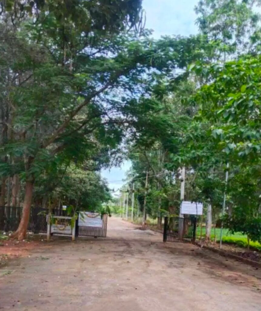 Plot for Sale in Hegganahalli, Bengaluru Rural - Photo 2