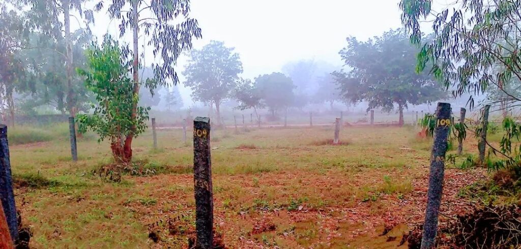 Plot for Sale in Hegganahalli, Bengaluru Rural - Photo 3